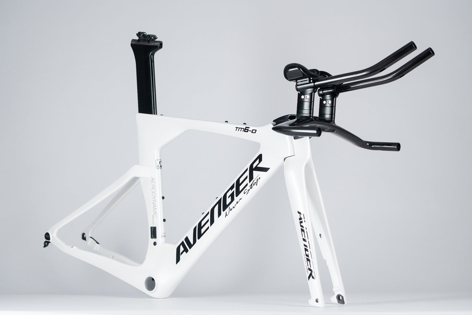 How to choose a Best Triathlon Bike for yourself?