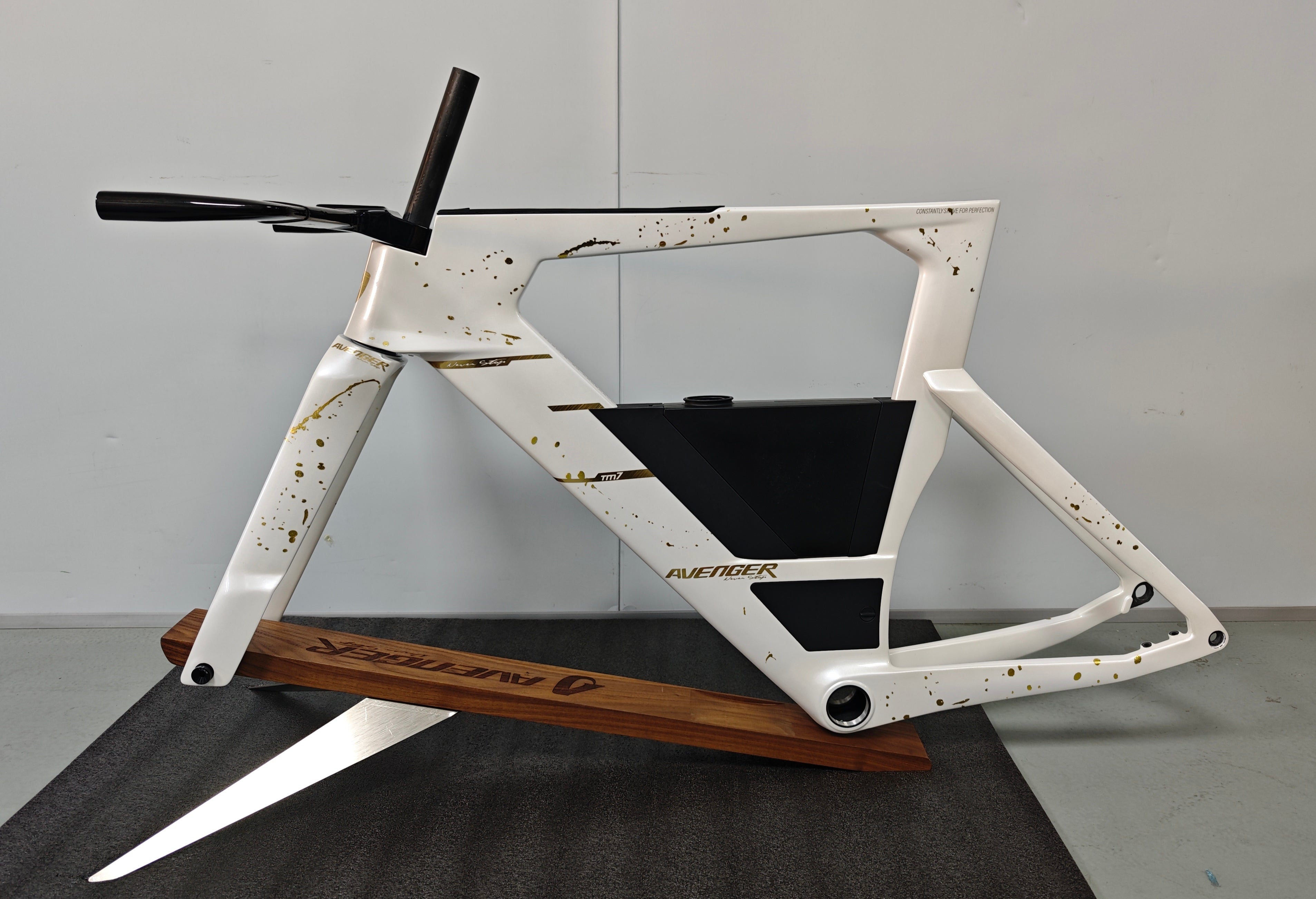 New Custom Paintings Carbon Triathlon Frame TM7